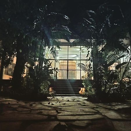 Canto De La Selva Jungle Lodge Selva Lacandona Chiapas Galaxia المظهر الخارجي الصورة