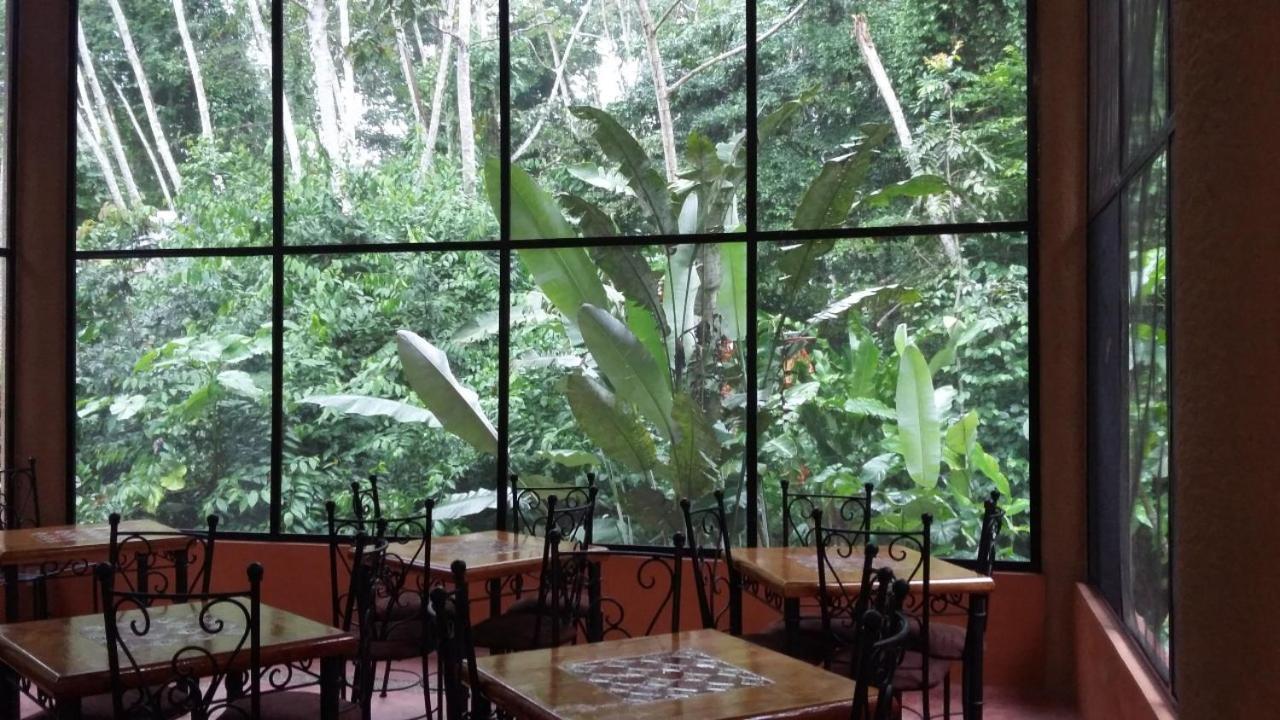 Canto De La Selva Jungle Lodge Selva Lacandona Chiapas Galaxia المظهر الخارجي الصورة