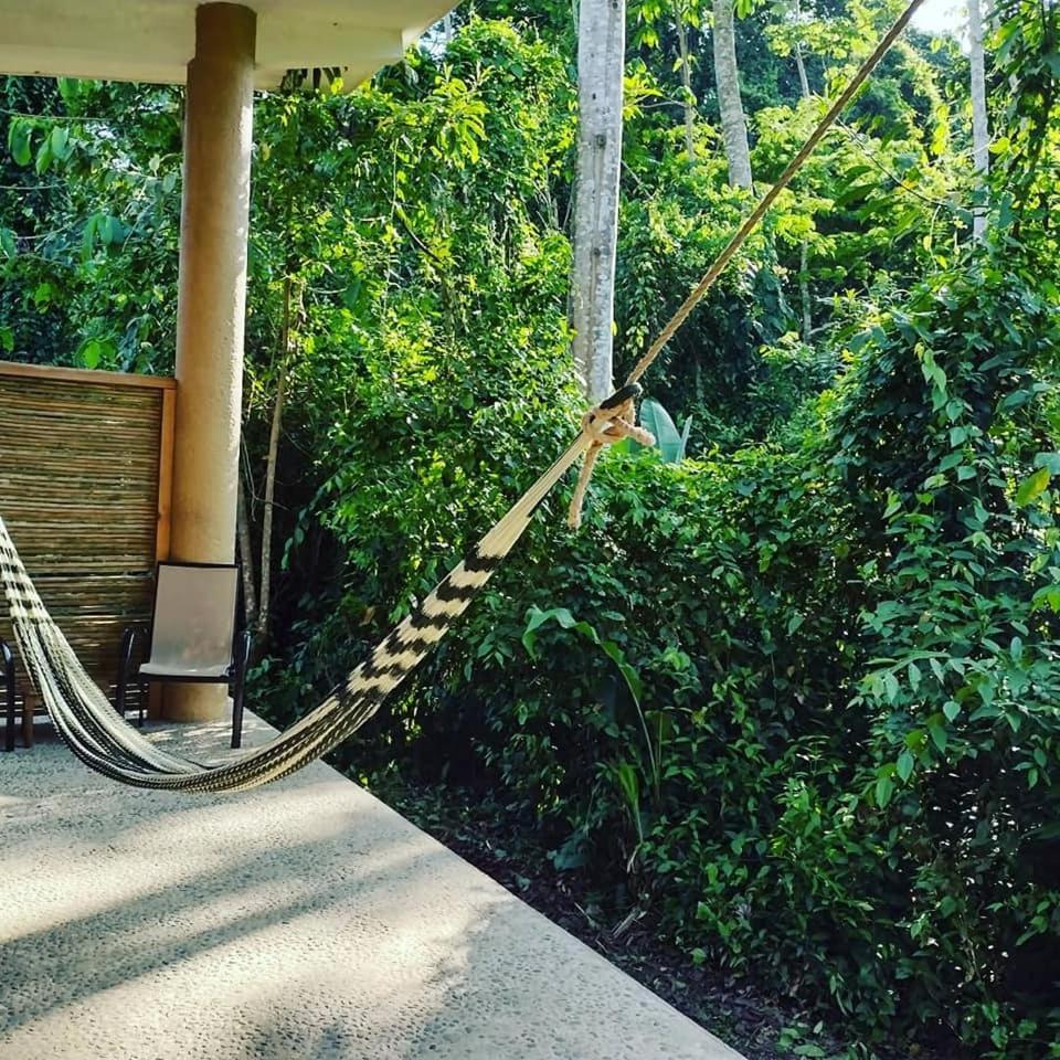 Canto De La Selva Jungle Lodge Selva Lacandona Chiapas Galaxia المظهر الخارجي الصورة