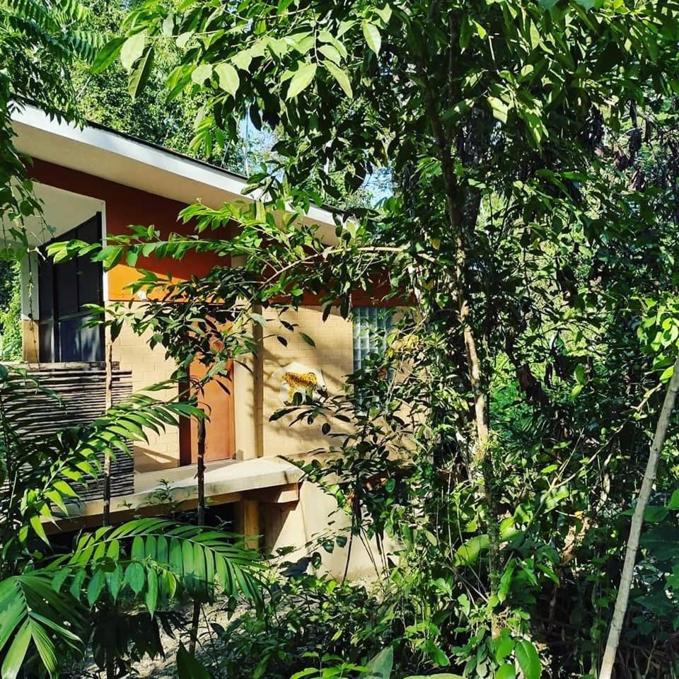 Canto De La Selva Jungle Lodge Selva Lacandona Chiapas Galaxia المظهر الخارجي الصورة