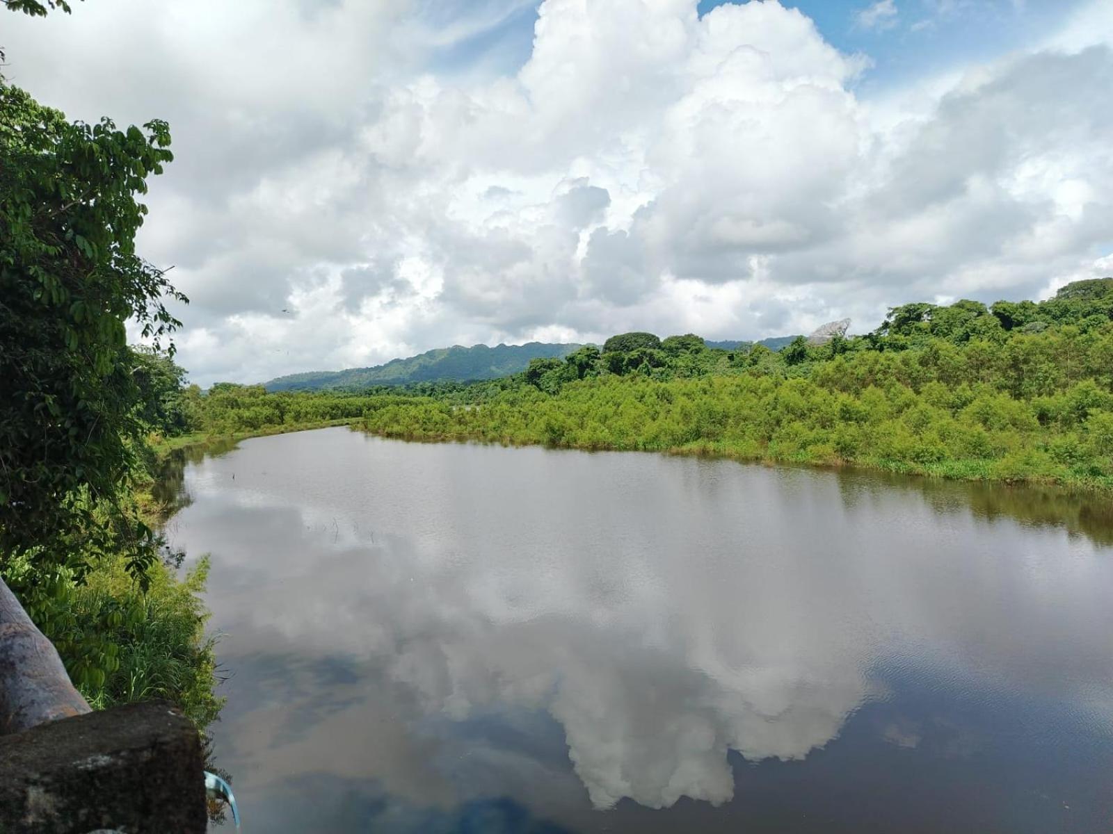 Canto De La Selva Jungle Lodge Selva Lacandona Chiapas Galaxia المظهر الخارجي الصورة