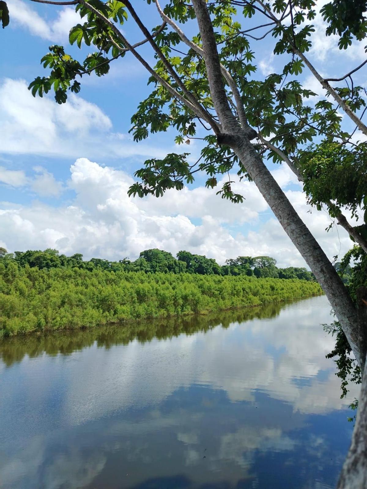 Canto De La Selva Jungle Lodge Selva Lacandona Chiapas Galaxia المظهر الخارجي الصورة