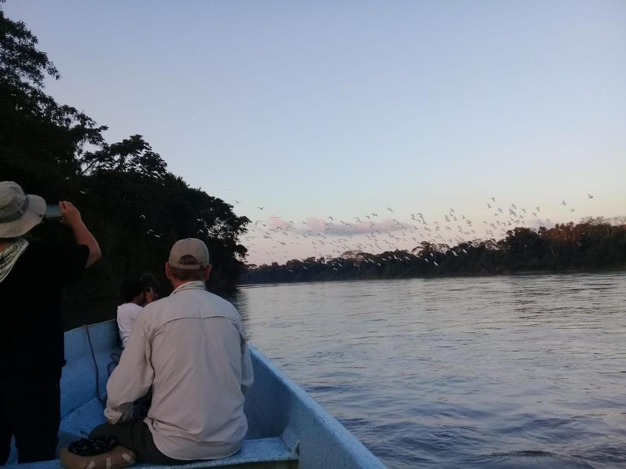Canto De La Selva Jungle Lodge Selva Lacandona Chiapas Galaxia المظهر الخارجي الصورة
